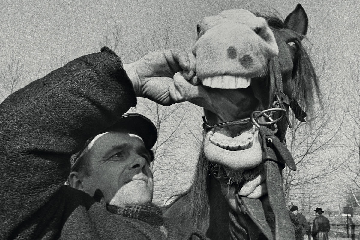Targ w Skaryszewie, 1971. Fot. Krzysztof Wojciewski 