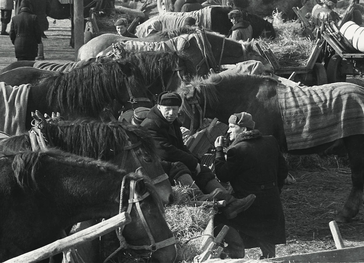 Targ w Skaryszewie, 1971. Fot. Krzysztof Wojciewski 