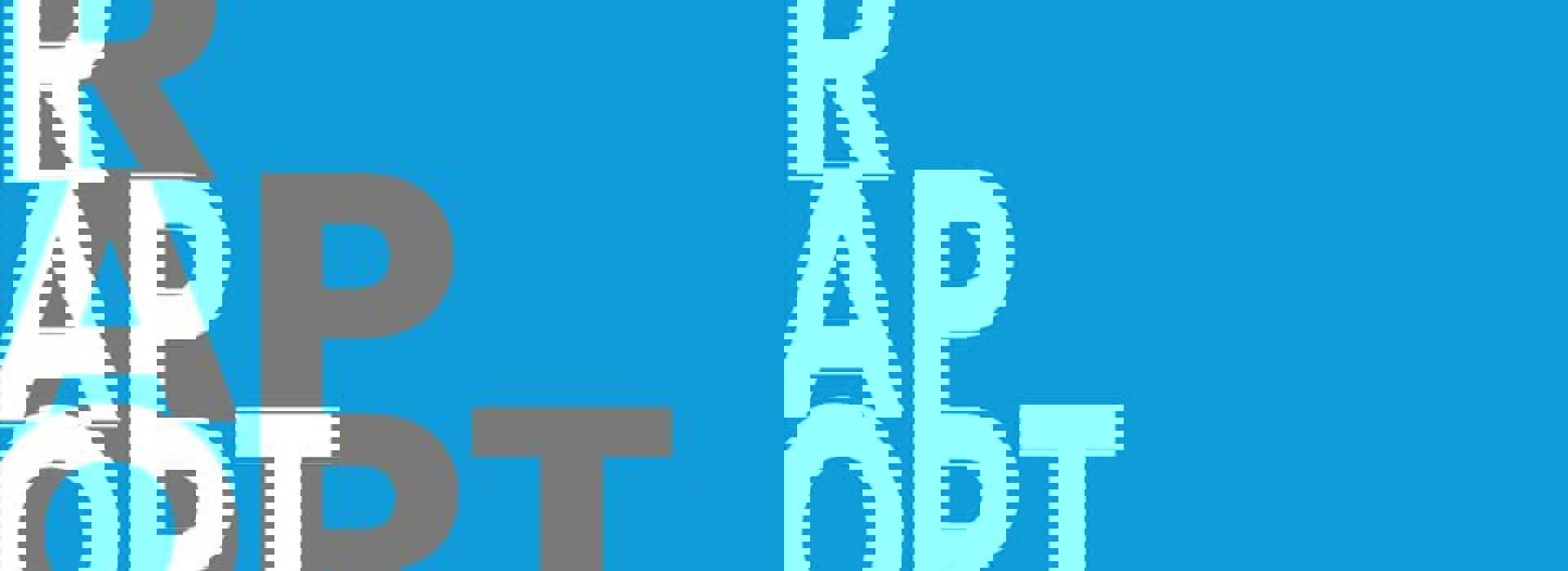 raport-pig